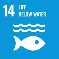 sdgs image 14