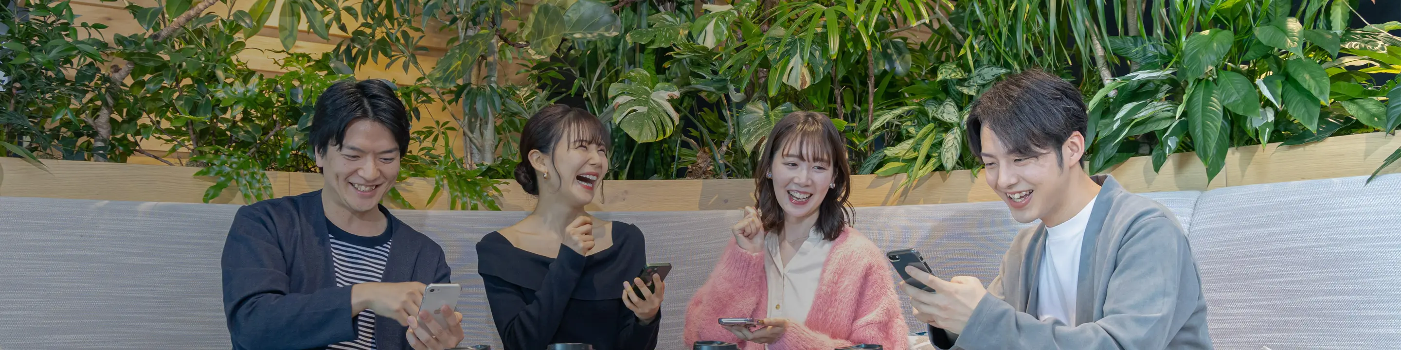 ファーストビュー画像